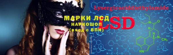 PSILOCYBIN Бронницы