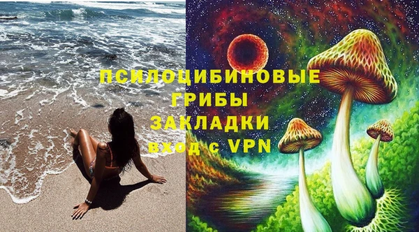 mdpv Бугульма